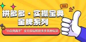 拼多多·实操宝典:金牌系列“小白到高手”带你全方位玩转拼多多各种玩法-课程网