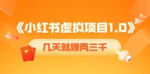 《小红书虚拟项目1.0》账号注册+养号+视频制作+引流+变现,几天就赚两三千-课程网