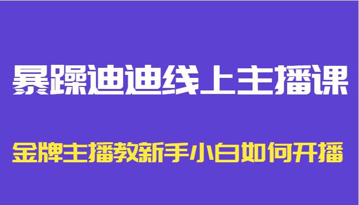 暴躁迪迪线上主播课,金牌主播教新手小白如何开播-课程网