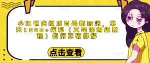 小红书虚拟项目最新玩法，单天1000+纯利（又是保姆级教程文档）-课程网