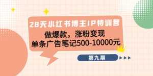 28天小红书博主IP特训营《第9期》做爆款,涨粉变现 单条广告笔记500-10000-课程网