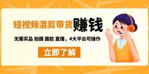 短视频带货赚钱混剪特训营:无需囤货发货 拍摄 露脸 直播,4大平台可操作-课程网