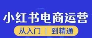 顽石小红书电商高阶运营课程，从入门到精通，玩法流程持续更新-课程网