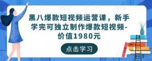 黑八爆款短视频运营课,新手学完可独立制作爆款短视频-价值1980元-课程网