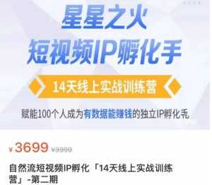 瑶瑶·自然流短视频IP孵化第二期，14天线上实战训练营，赋能100个人成为有数据能赚钱的独立IP孵化手-课程网