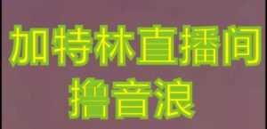 抖音加特林直播间搭建技术,抖音0粉开播,暴力撸音浪,2023新口子,每天800+【素材+详细教程】-课程网
