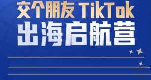 TikTok商家出海启航营:教你TikTok跨境电商的底层逻辑,即使是零基础的你也可以快速上手-课程网