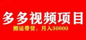 多多带货视频快速50爆款拿带货资格,搬运带货,月入30000【全套脚本+详细玩法】-课程网