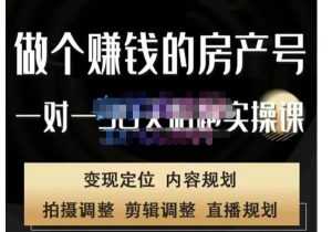 刘广标·同城房产号线上陪跑课,拍摄、剪辑、写文案、直播,做一个具有潜力价值的房产号-课程网