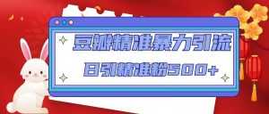 豆瓣精准暴力引流,日引精准粉500+【12课时】-课程网