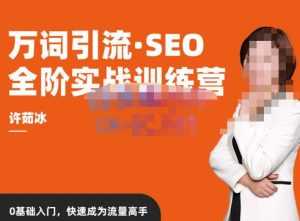 许茹冰·万词引流-SEO全阶实战训练营,0基础入门,快速成为流量高手-课程网
