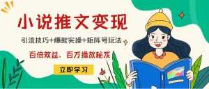 小说推文训练营:引流技巧+爆款实操+矩阵号玩法,百倍效益、百万播放秘笈-课程网