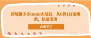 跨境拼多多temu实战营,从0到1打造爆款,快速变现-课程网