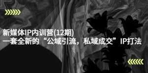 新媒体IP内训营(12期),一套全新的“公域引流,私域成交”IP打法,直接带走-课程网