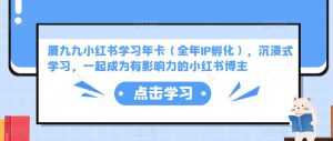 厦九九小红书学习年卡(全年IP孵化),沉浸式学习,一起成为有影响力的小红书博主-课程网